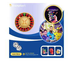 India’s Number One Betting ID Provider – Dreamplay1
