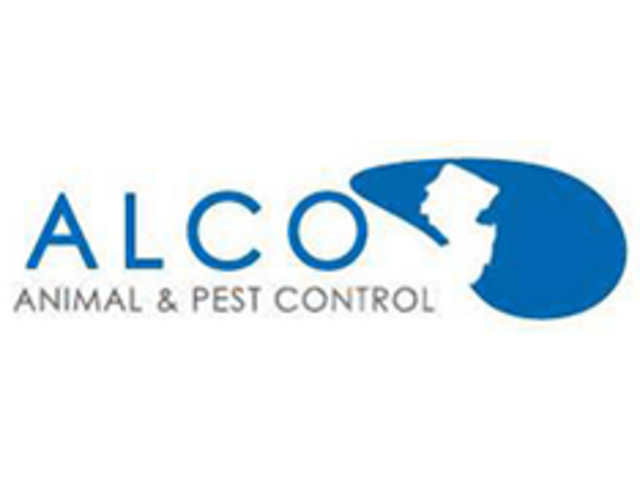 Reliable Pest Control Services in NJ