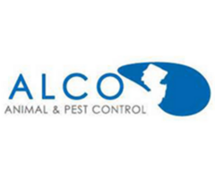Reliable Pest Control Services in NJ