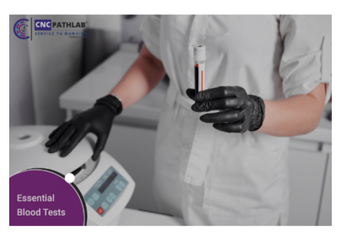 Find the Closest Pathology Lab to You