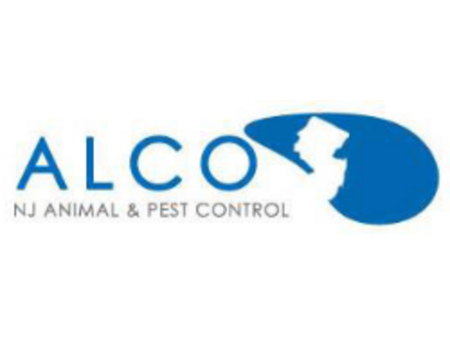 Affordable Pest Control Cost in NJ