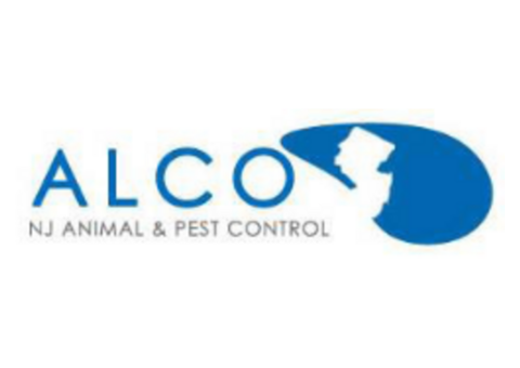 Affordable Pest Control Cost in NJ