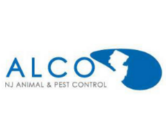 Affordable Pest Control Cost in NJ