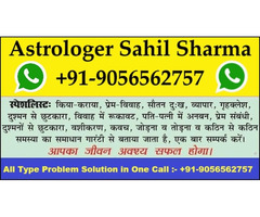 Top Astrologers in Ludhiana +91-9056562757