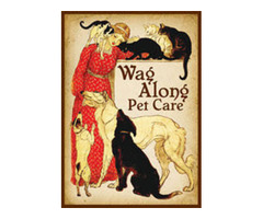 Dog Care Near Me Woodstock