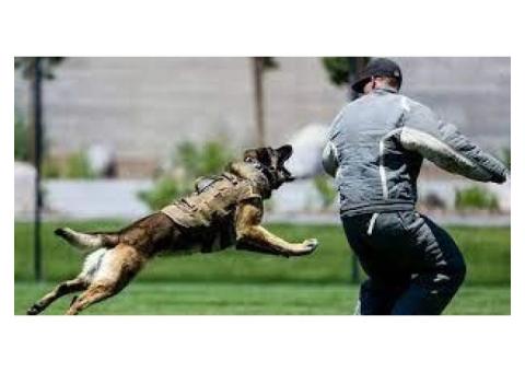 Temecula Car Crash Attorney