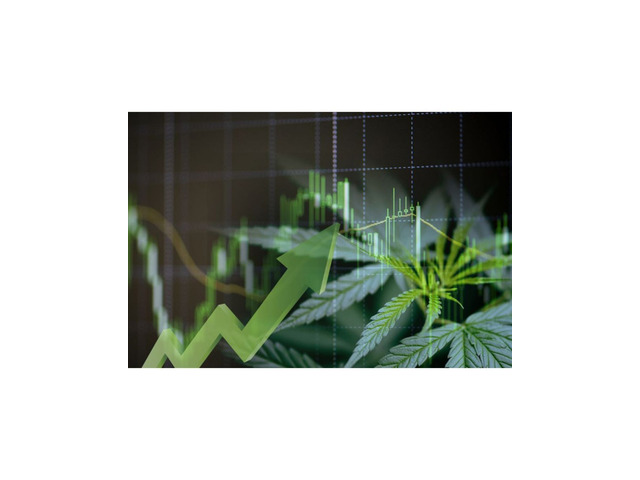 Cannabis Business Investment Banking