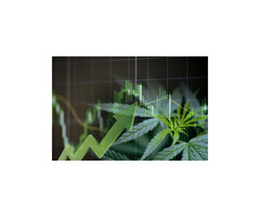 Cannabis Business Investment Banking
