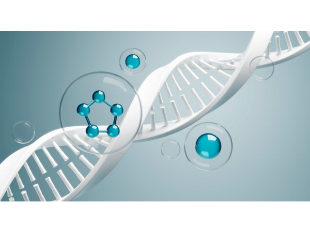 Platelet-Rich Plasma Therapy in Orlando – Innovative Pain Solutions