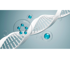 Platelet-Rich Plasma Therapy in Orlando – Innovative Pain Solutions