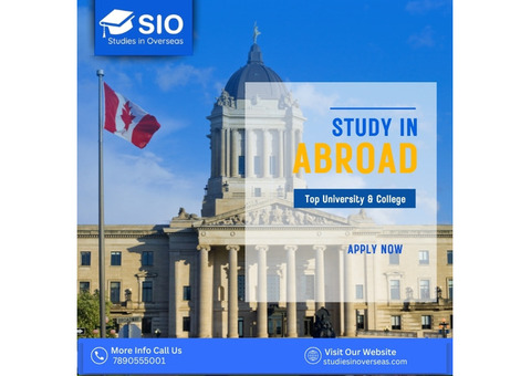 Kolkata’s Most Reliable Education Consultancy – SIO