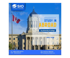 Kolkata’s Most Reliable Education Consultancy – SIO