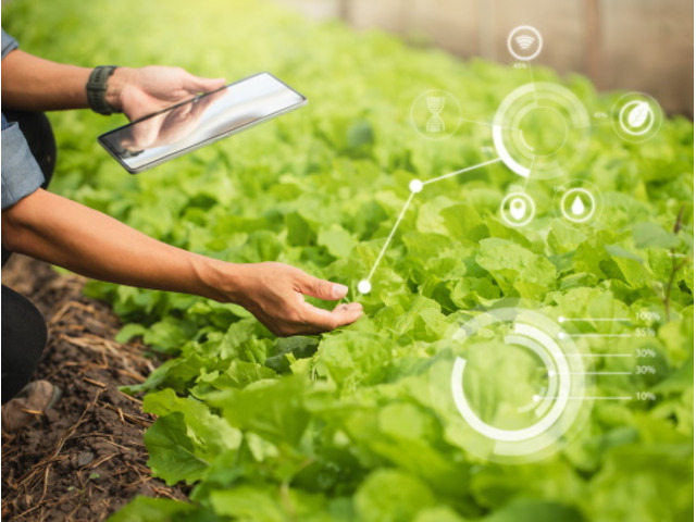 Inventory Management System for Commercial Plant Growers