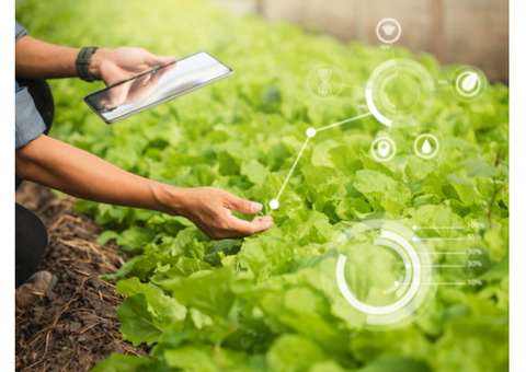 Inventory Management System for Commercial Plant Growers