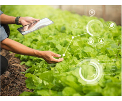 Inventory Management System for Commercial Plant Growers