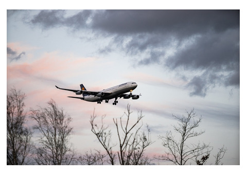 Frontier Airlines Cancellation Policy Number