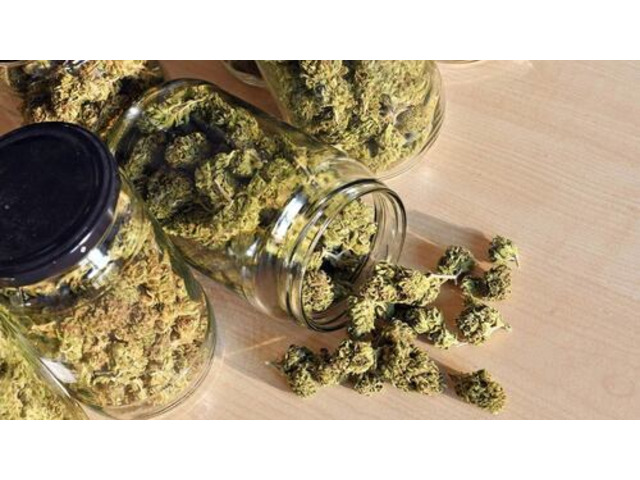 Cannabis Dispensary In BC