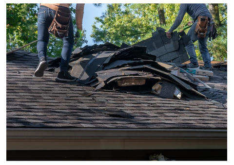 Show Low Shingle Roofing Company- Siding, Windows, Gutters