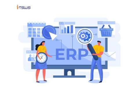 Custom ERP Software Development Company in Gurgaon