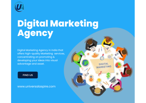 Top SEO Company In FFC Okhla Delhi