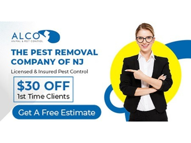 Pest Exterminators in NJ – ALCO Animal & Pest Control