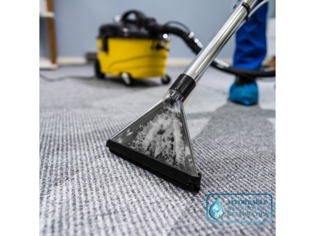 Expert Carpet Cleaner Services in Alexandria, VA