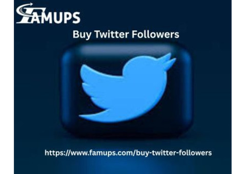 Buy Twitter Followers for Popularity on Social Media