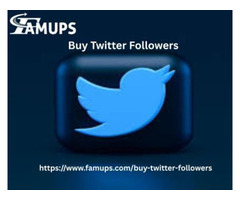 Buy Twitter Followers for Popularity on Social Media