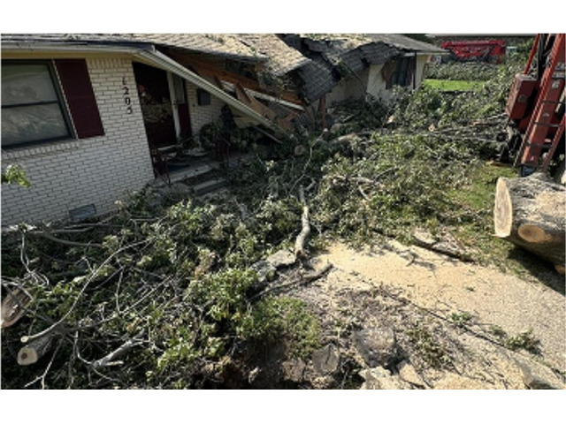 Expert Residential Tree Trimming Missouri | Local Arborists