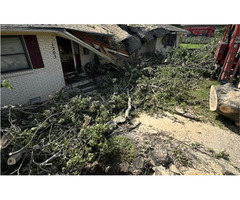 Expert Residential Tree Trimming Missouri | Local Arborists