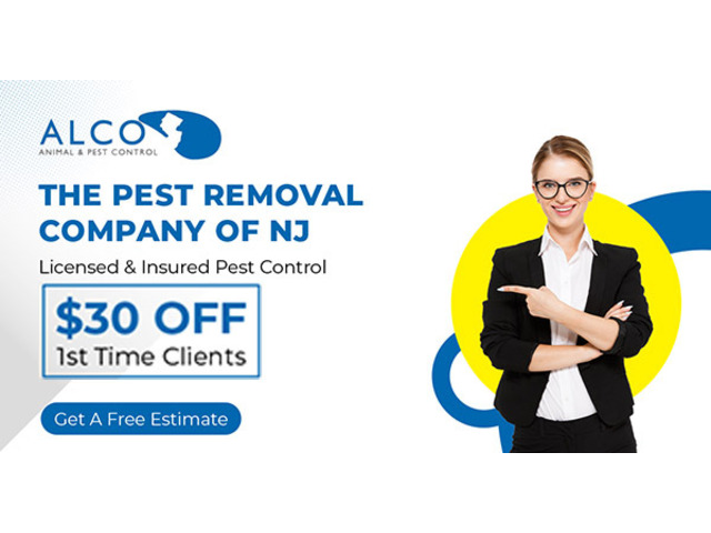 Professional Pest Removal in North NJ