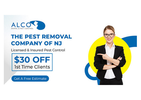 Professional Pest Removal in North NJ