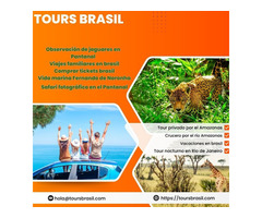 Reserva tu Tour de Observación de Jaguares en el Pantanal