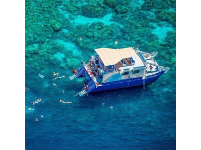 Big Island Captain Cook Snorkeling