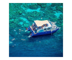 Big Island Captain Cook Snorkeling