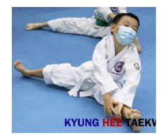 TKD: discipline that enhancing our spirit by training our body n mind