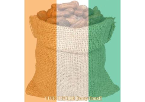 Cocoa Fairtrade