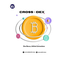 Custom Cross-Dex Platform Development Services by Web5 Nexus