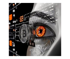 High Daily Flash Bitcoin Limit