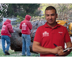 Commercial Tree Service in NJ – Amazing Tree Services