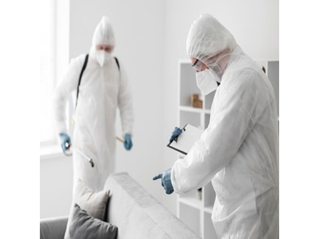 Protect Your Property with Expert Mold Inspections in Annapolis