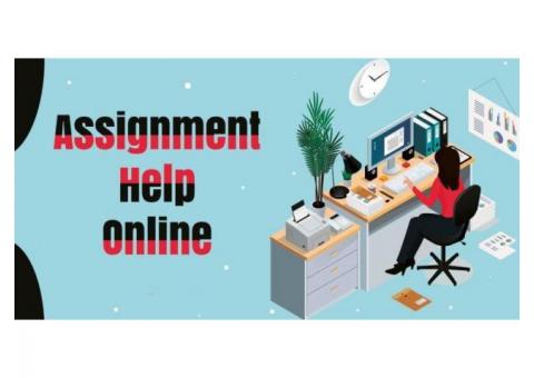 Ace my homework: Get Assignment Help