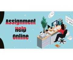 Ace my homework: Get Assignment Help