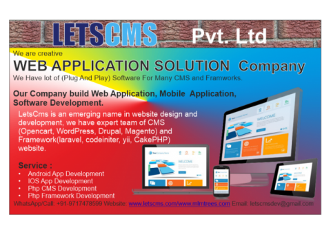 Software & Mobile Application Development Company