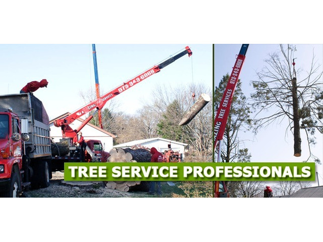 Flexible Tree Removal Financing NJ – Amazing Tree Services