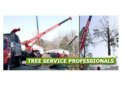 Flexible Tree Removal Financing NJ – Amazing Tree Services