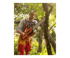 Residential Tree Trimming Services