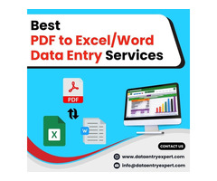 Best PDF to Word/Excel Data Entry Services in India