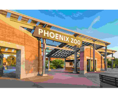 Stay Steps Away From The Action In Downtown Phoenix