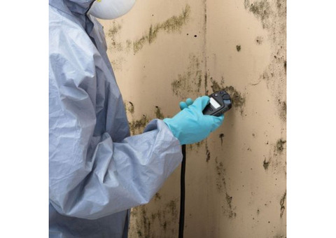 Houston Mold Inspections in Houston, TX